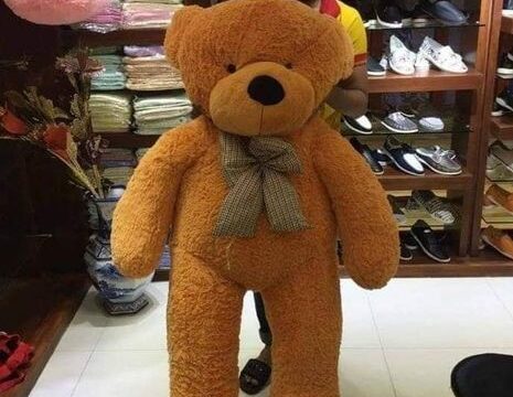 china plus teddy bear